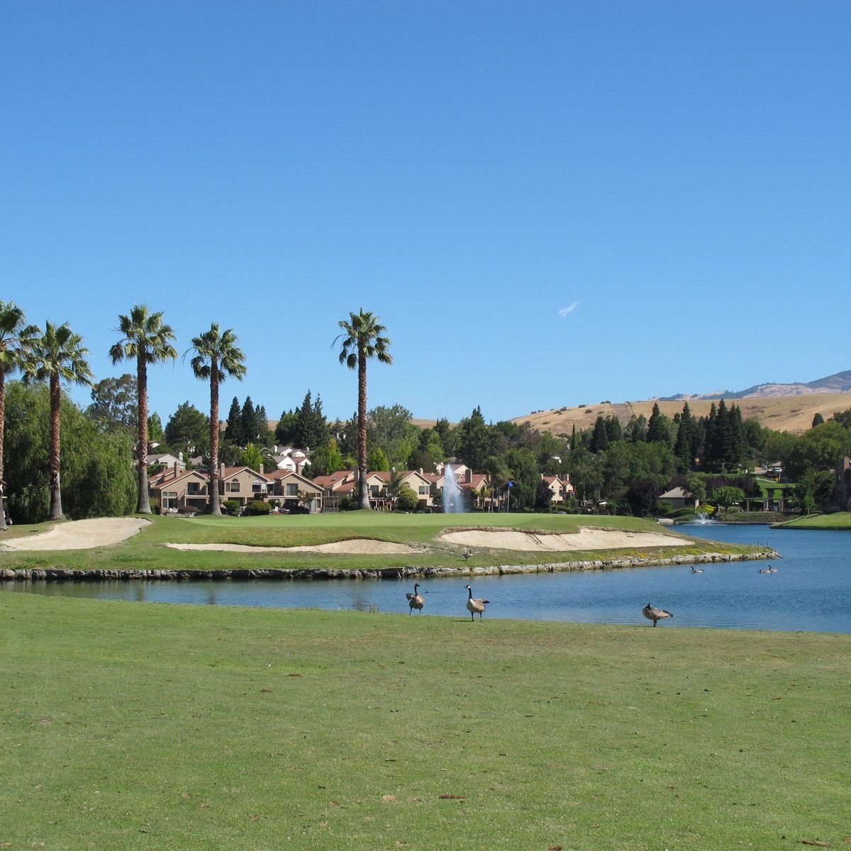 Canyon Lakes Golf Course & Brewery (San Ramon) Aktuelle 2021 Lohnt