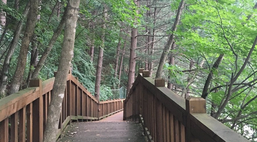 Kalbongsan Recreational Forest (2025) - All You Need to Know BEFORE You Go (with Reviews)