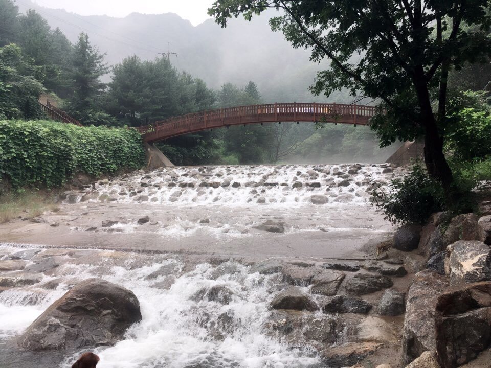 칼봉산자연휴양림 - 가평 - 칼봉산자연휴양림의 리뷰 - 트립어드바이저