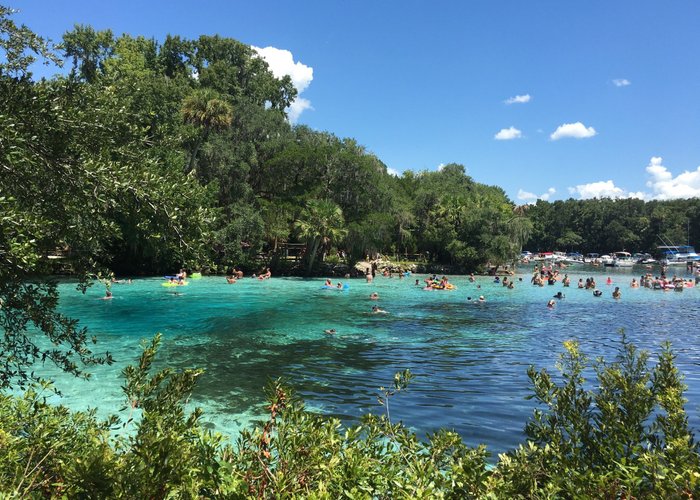 Salt Springs, FL 2024 Best Places to Visit Tripadvisor