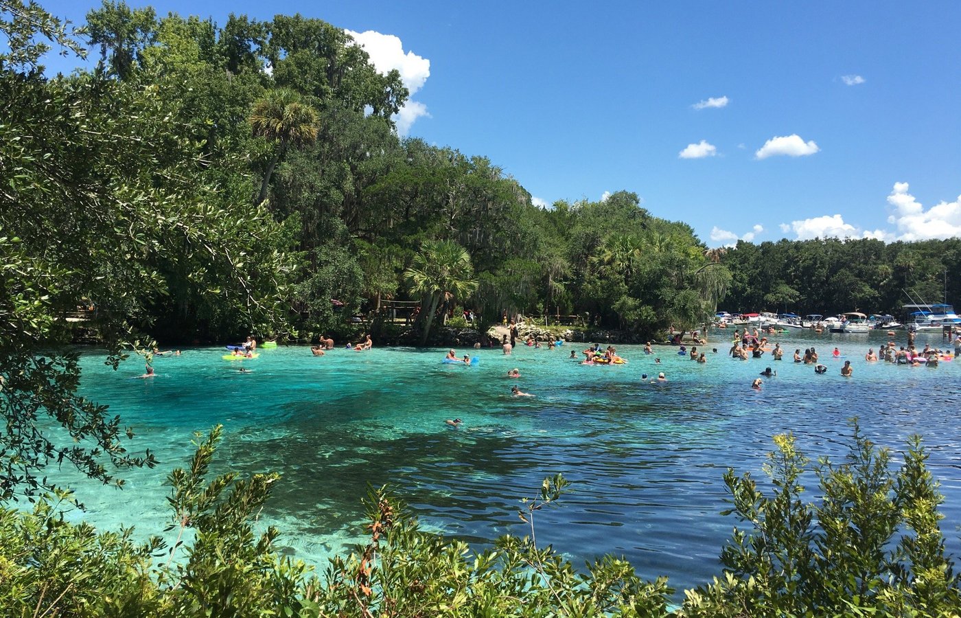 Salt Springs, FL 2024 Best Places to Visit Tripadvisor