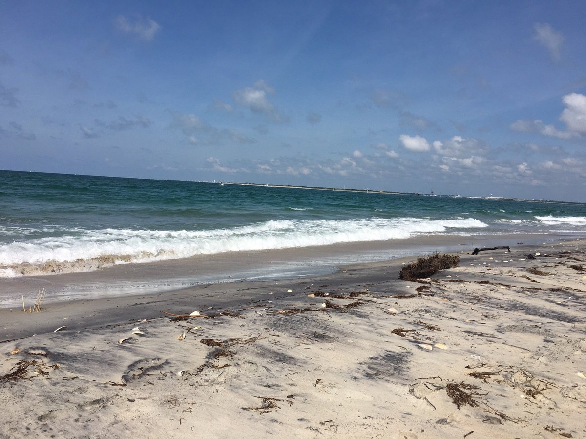 Shackleford Banks (Harkers Island) - All You Need to Know BEFORE You Go