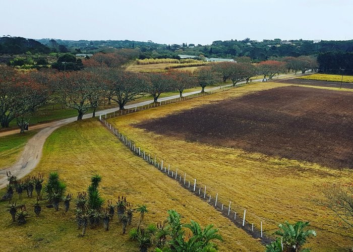 Bathurst, Südafrika Tourismus in Bathurst Tripadvisor