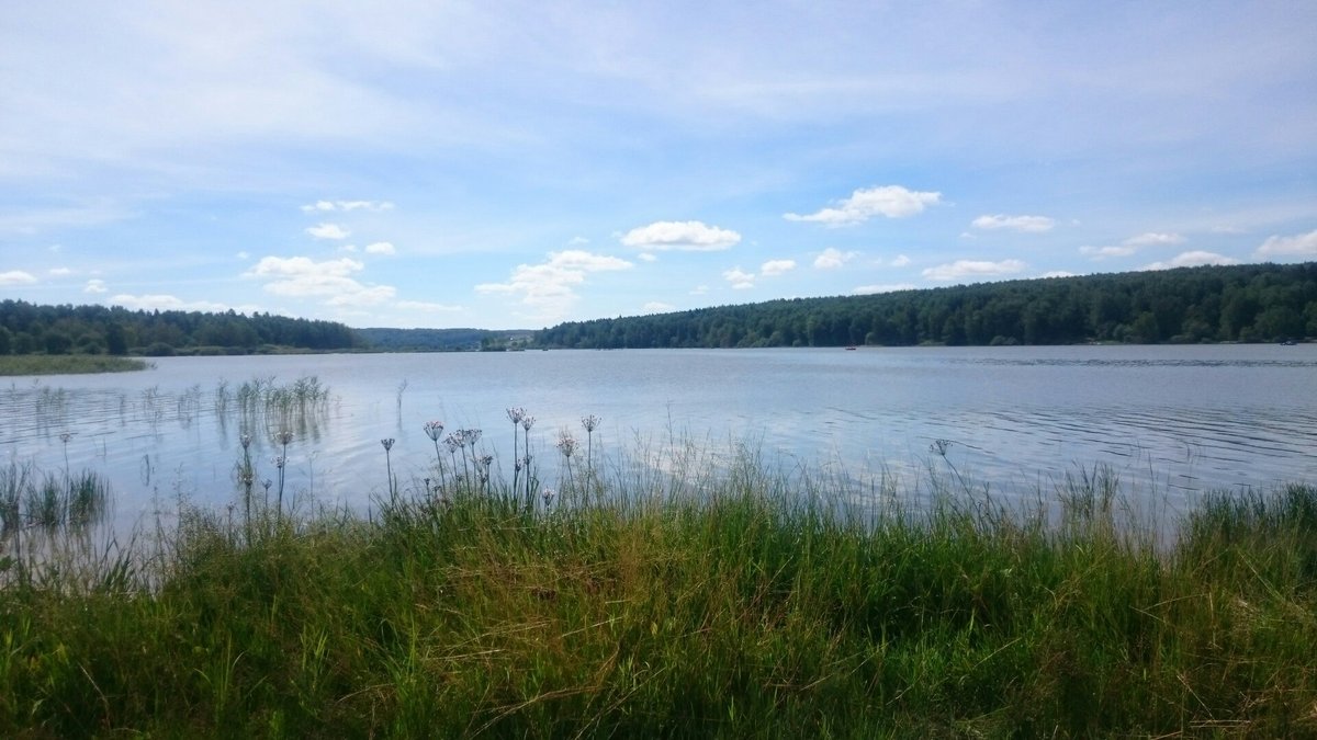 Торбеево озеро, Березняки: лучшие советы перед посещением - Tripadvisor