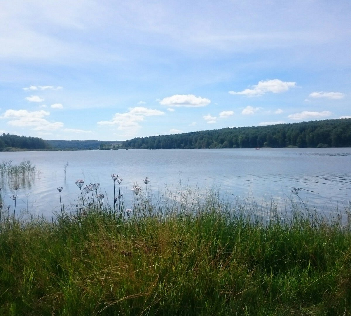 Торбеево озеро, Березняки: лучшие советы перед посещением - Tripadvisor