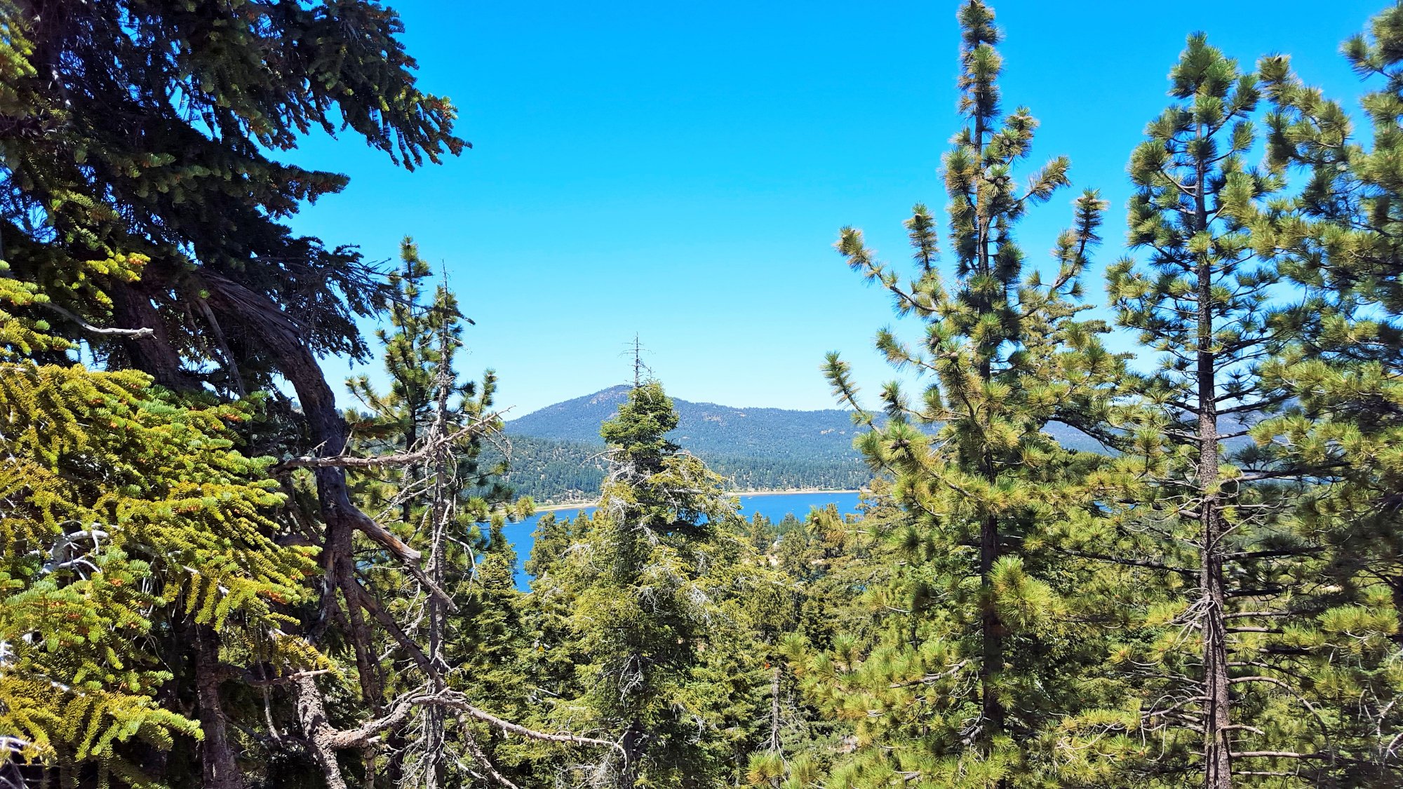 THE 15 BEST Things To Do In Big Bear Region 2024   View From Half Way Up 