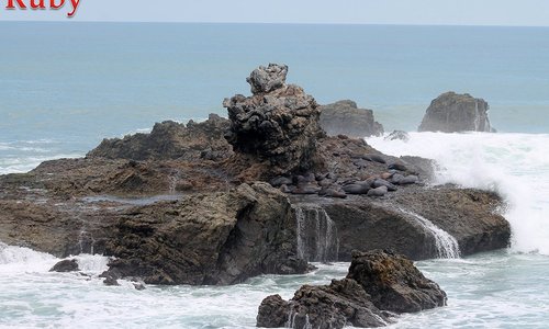 La Lobería en Salinas, Santa Elena, Ecuador
