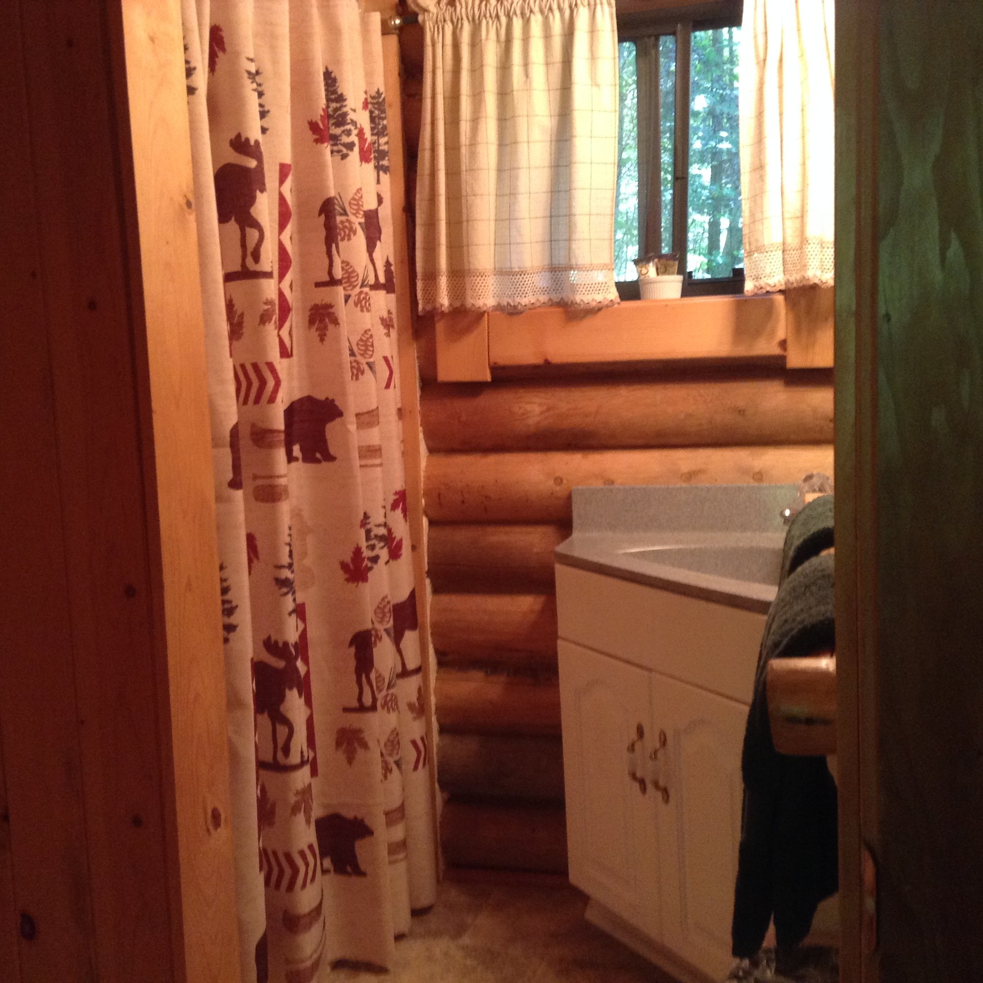 Hotel photo 1 of Swan Lake Cabins.