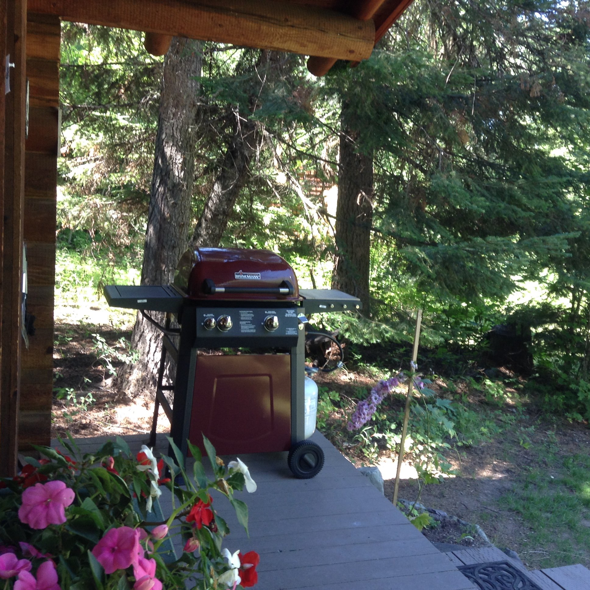Hotel photo 13 of Swan Lake Cabins.