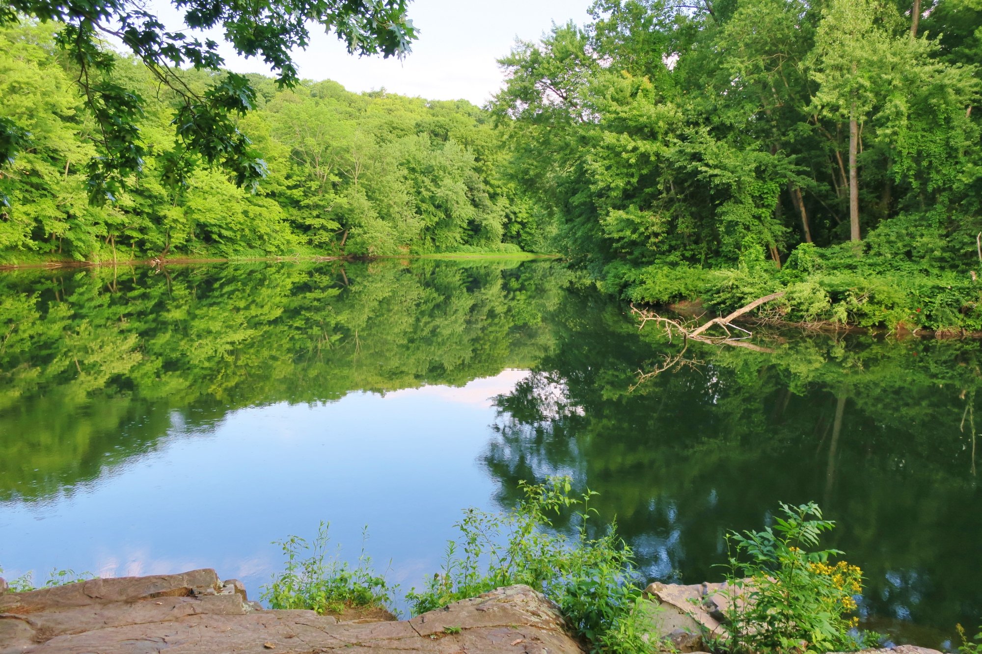 Robinson state park online mountain biking