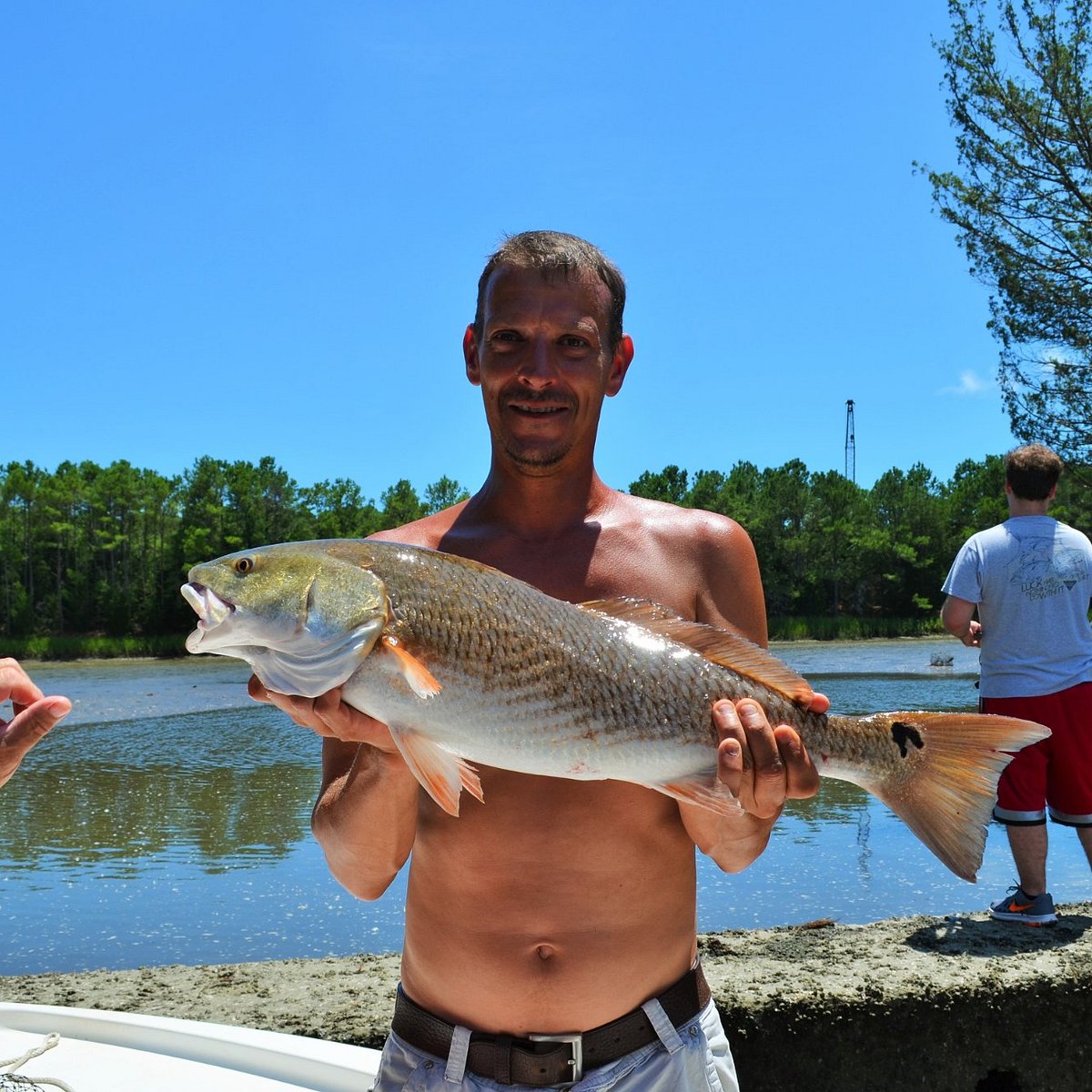 reelin-pelican-fishing-charters-southport-all-you-need-to-know