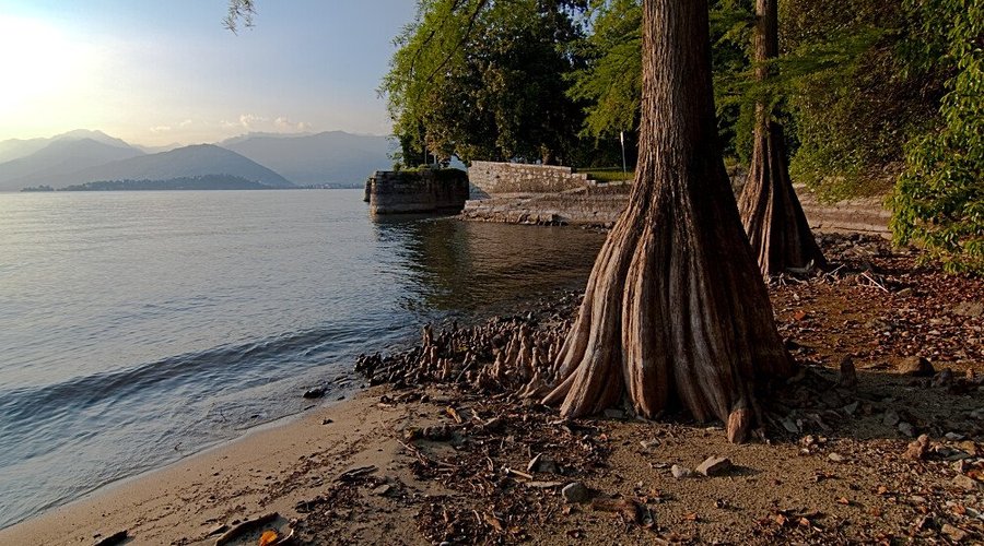 Spiaggia di Taxodium del B&B Polidora