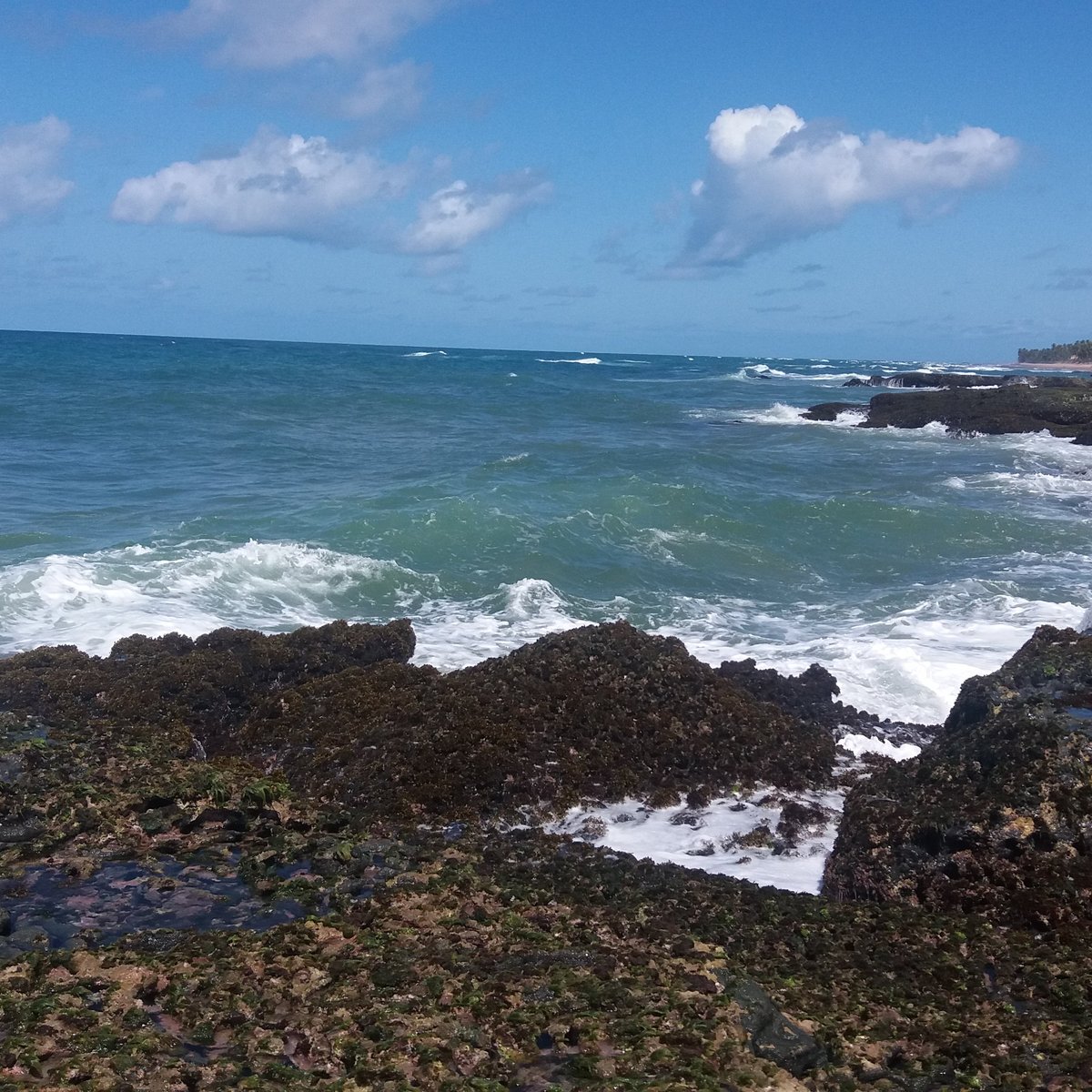 Praia do Porto - O que saber antes de ir (ATUALIZADO 2023)