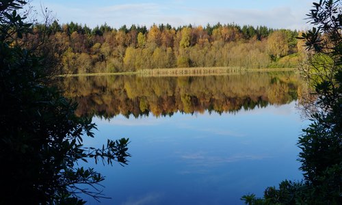 The Moor Loch