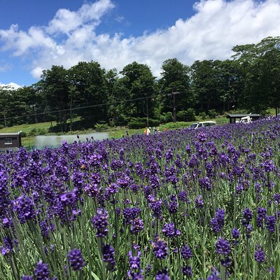 21年 沼田市で絶対外さないおすすめ観光スポットトップ10 定番から穴場まで トリップアドバイザー 21年 沼田市で絶対外さないおすすめ観光スポットトップ10 定番から穴場まで トリップアドバイザー