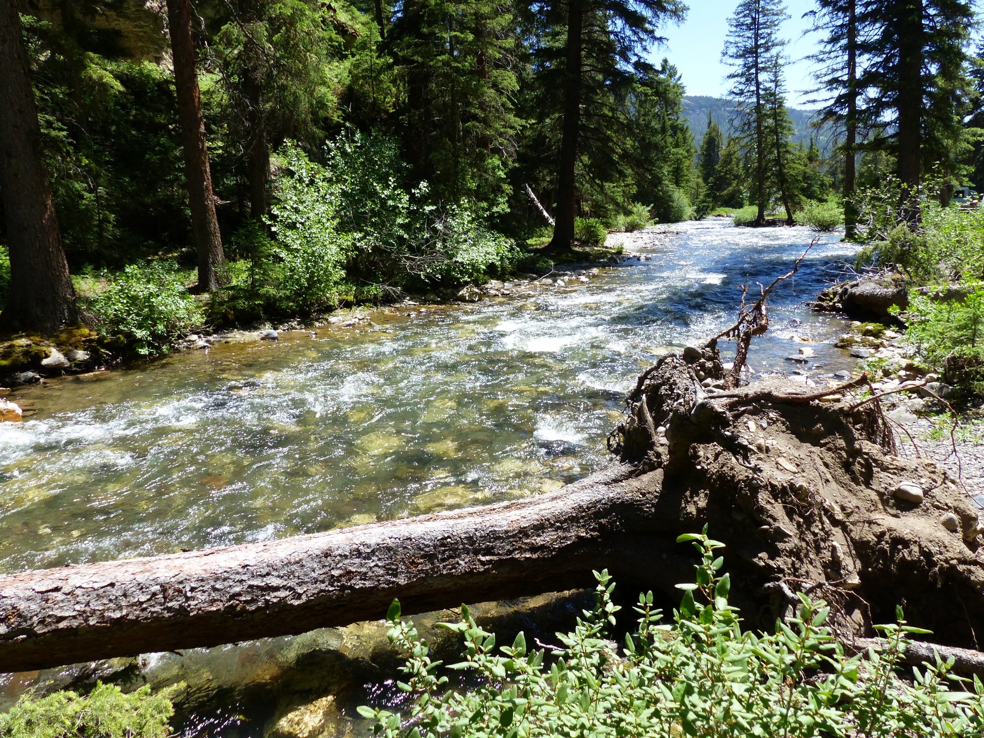 Pebble creek trail yellowstone hotsell