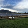 Things To Do in Mt Wellington Tour and MONA Admission, Restaurants in Mt Wellington Tour and MONA Admission