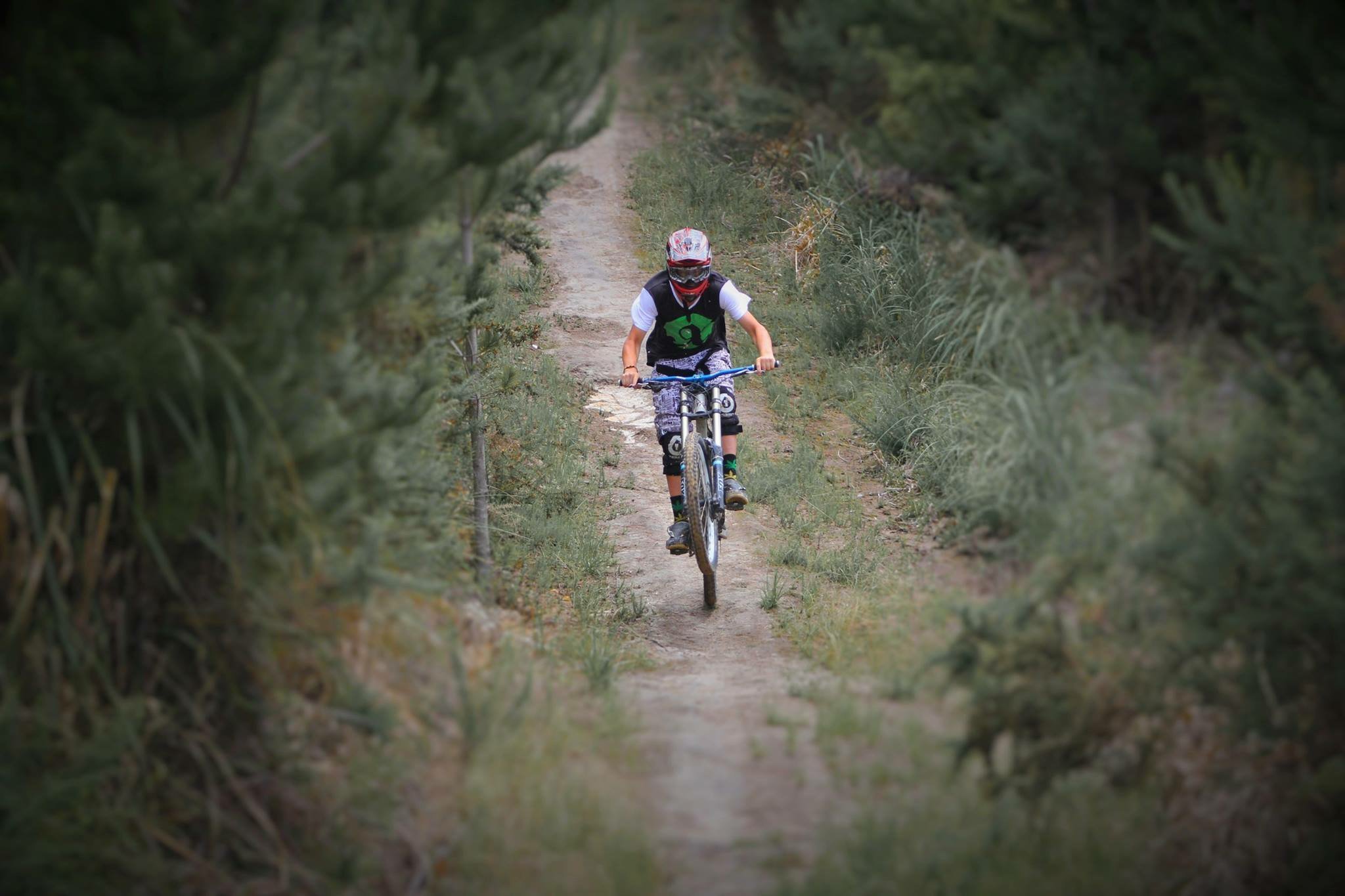 Parihaka 2025 mtb park