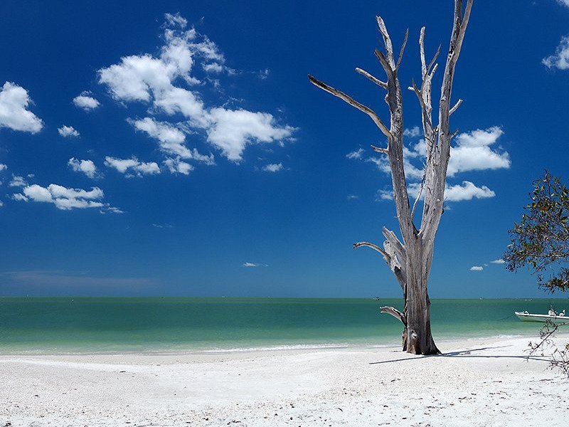 Lovers Key State Park image