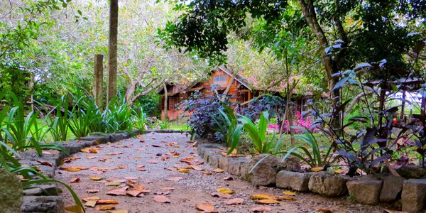 CAT TIEN FARM STAY (Nam Cát Tiên) - Đánh giá Nhà trại & So sánh giá -  Tripadvisor