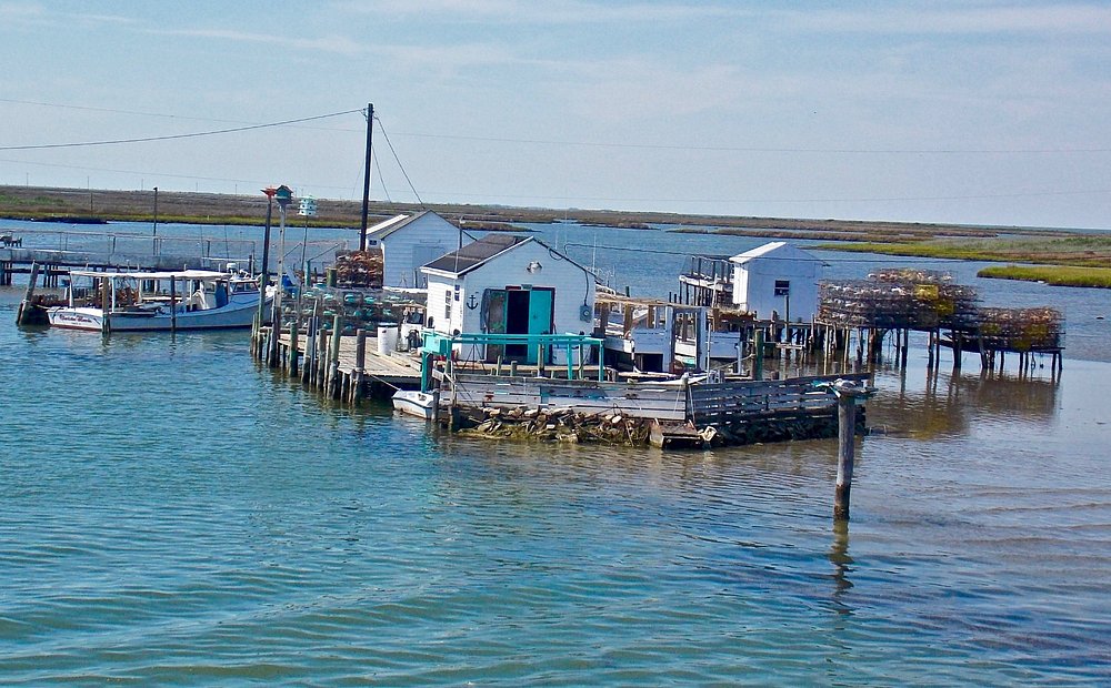 tangier island trip