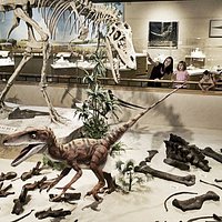 Wow, dinosaurs everywhere!