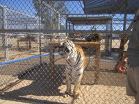 Hesperia Zoo Entrance Fee