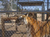 Hesperia Zoo Parking