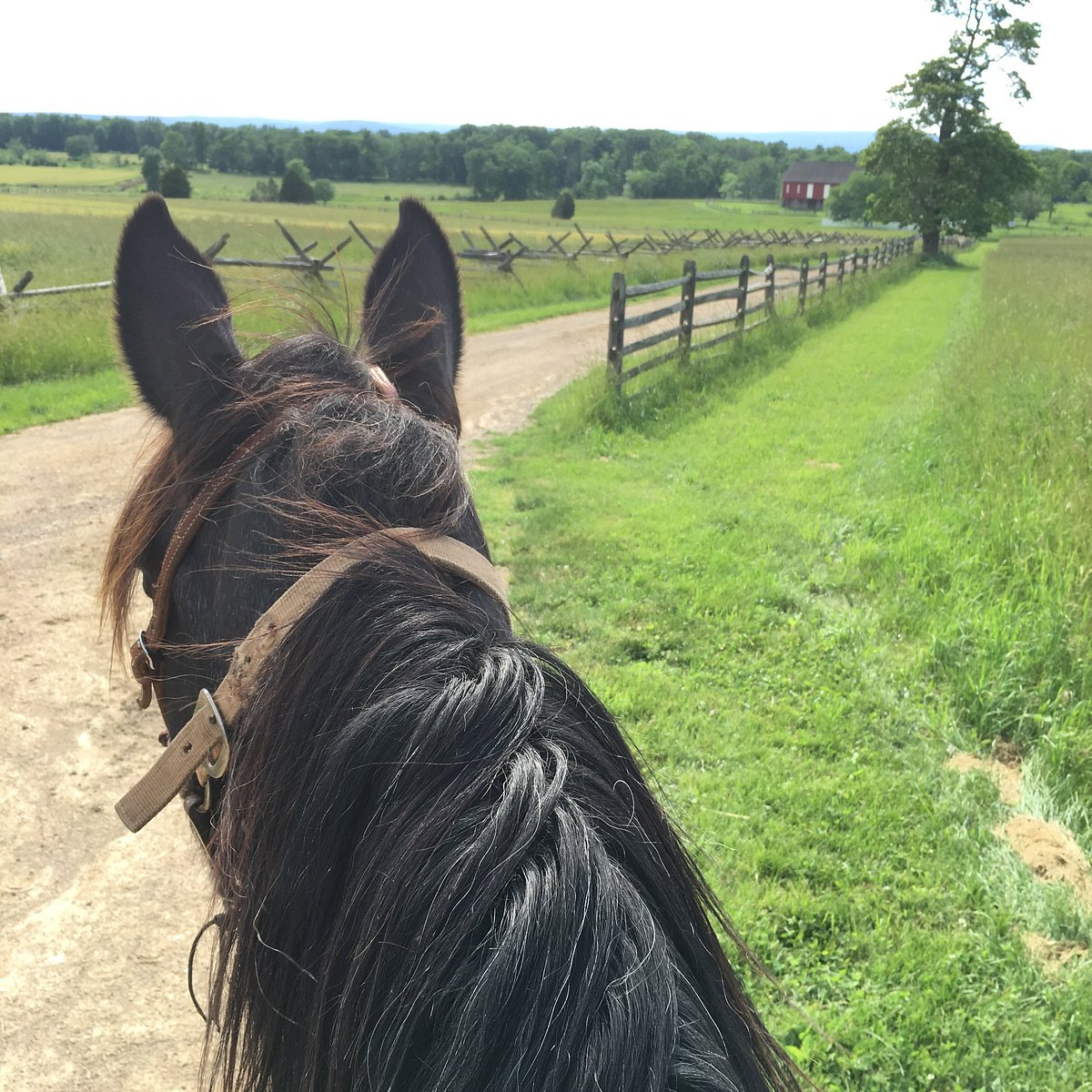 National Riding Stables (Gettysburg) All You Need to Know BEFORE You Go