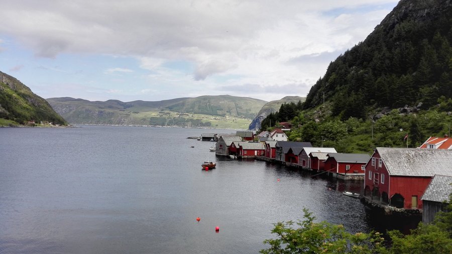 The remains of bygone maritime life