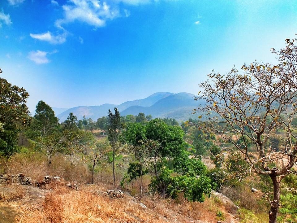 AKASA BR HILLS - Bewertungen & Fotos (Chamarajanagar, Indien) - Tripadvisor