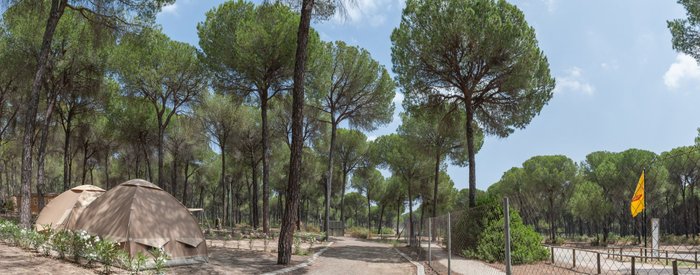 Imagen 7 de Camping Huttopia Parque de Doñana