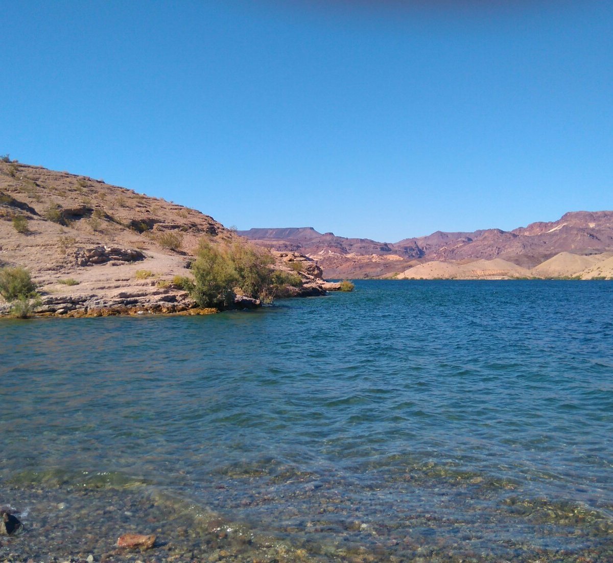 Nelson's Landing Cliff Jumping - All You Need to Know BEFORE You Go