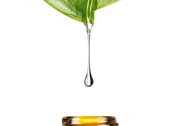 Life Wellness Massage Therapy - Kewdale - Life Wellness Massage Therapy의 리뷰 - 트립어드바이저