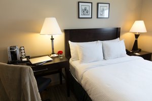 Room & Suite
