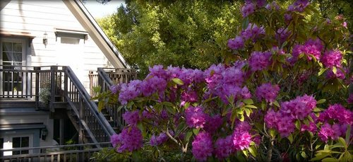 DENNEN'S VICTORIAN FARMHOUSE - Prices & B&B Reviews (Little River, CA)