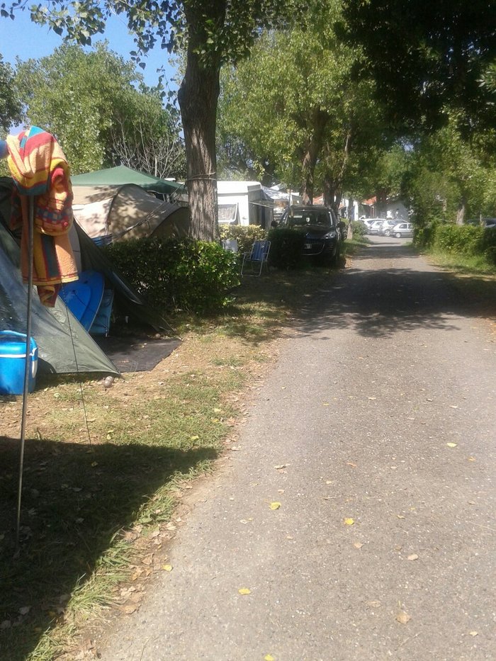 Imagen 13 de Camping Alturan