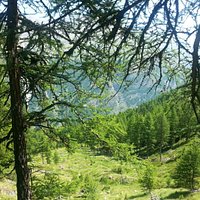 Montseuc Belvedere Sentiero natura