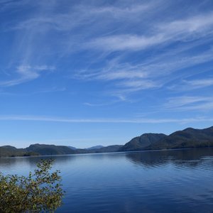 TOTEM BIGHT STATE HISTORICAL PARK (Ketchikan) - 2022 All You Need to ...