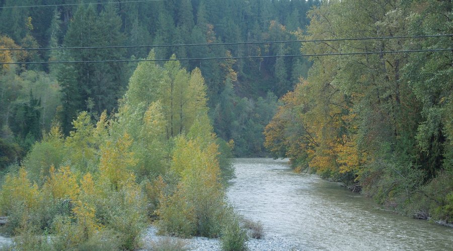S. Stillaguamish River on the Mountain Loop Scenic Byway