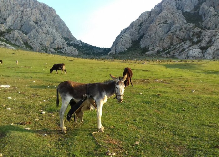 Batken, Kirgisistan Tourismus in Batken Tripadvisor
