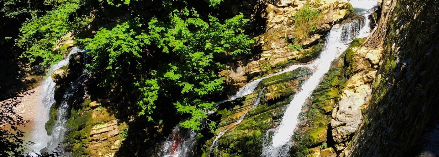 Enjoy pure nature