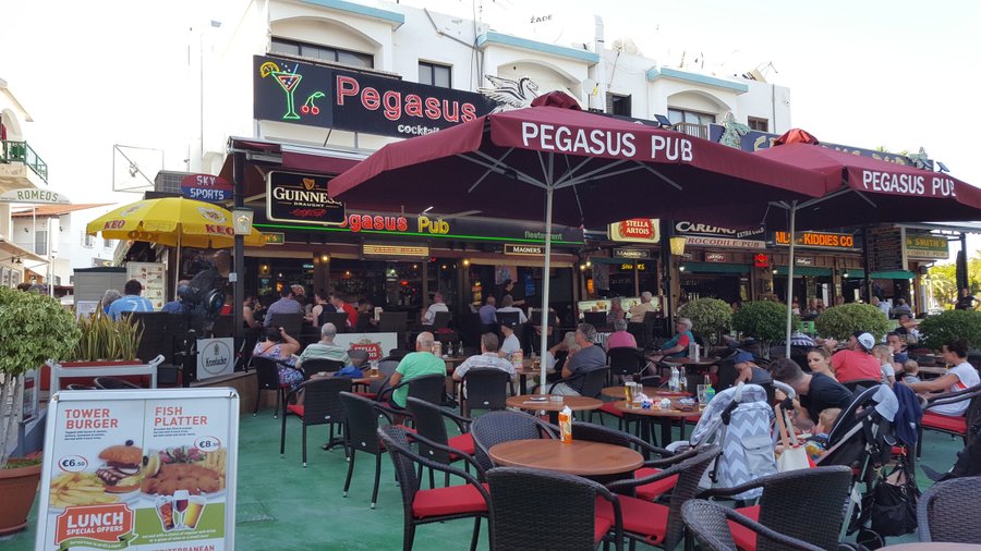 pegasus Terrance 1