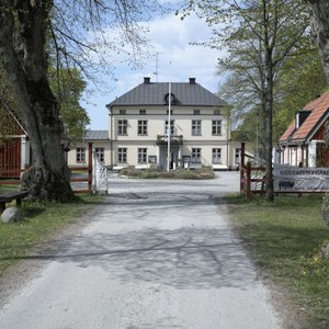 Framsida från allé
