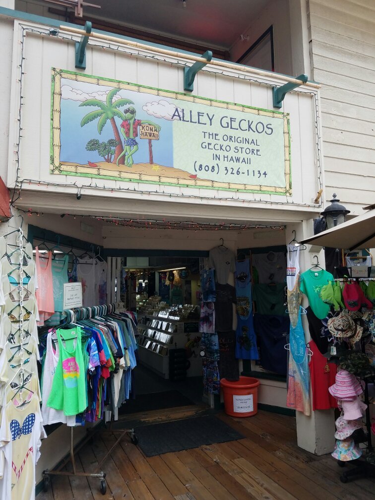 Gecko shop clearance