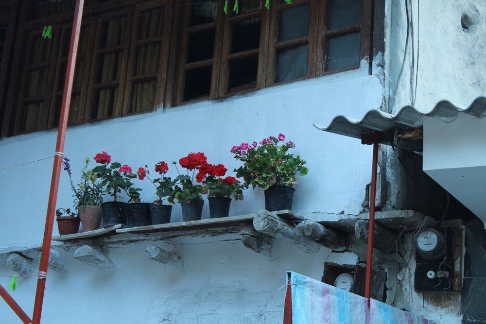 hous of village