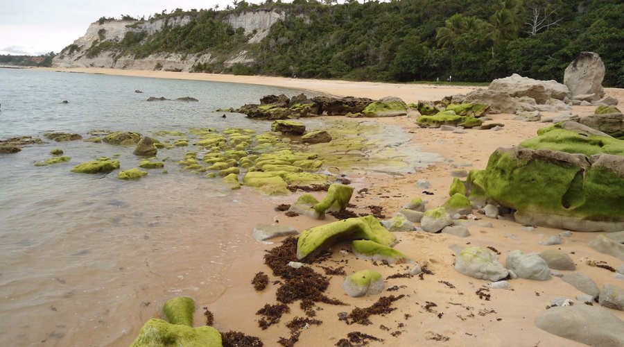 Praia Jacuma - O que saber antes de ir (ATUALIZADO Março 2025)