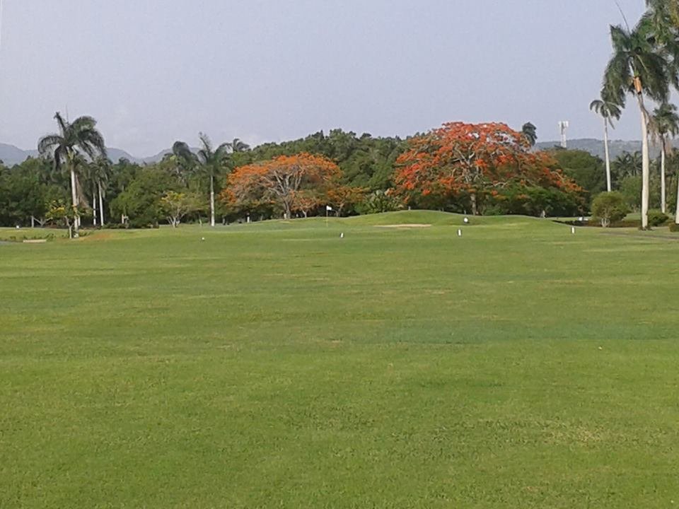 16+ Playa Dorada Golf Course