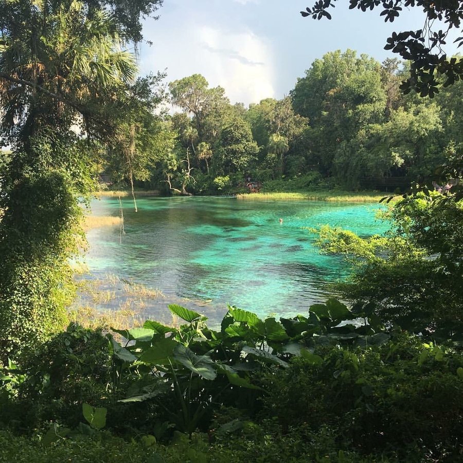 RAINBOW SPRINGS STATE PARK - Campground Reviews & Photos (Dunnellon