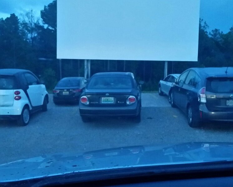Coyote Drive-In image